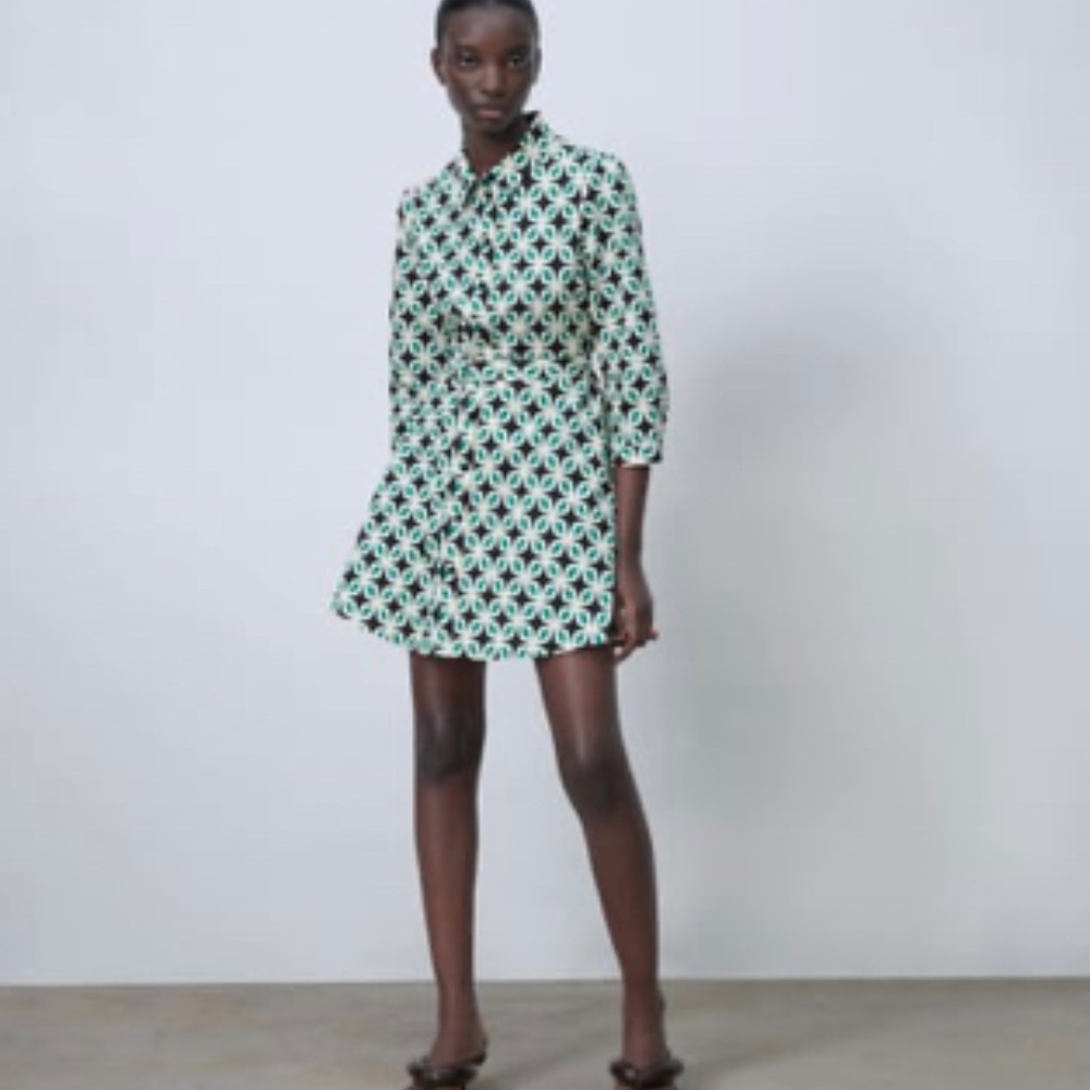 Zara Printed Dress with Belt